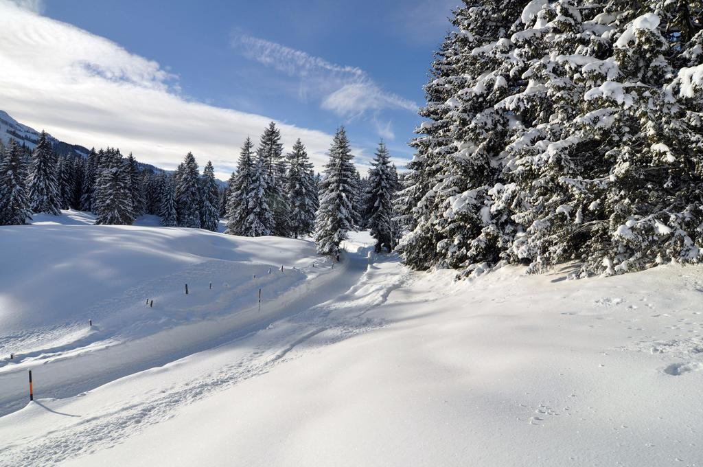 Landhotel Berghof Bad Hindelang Esterno foto